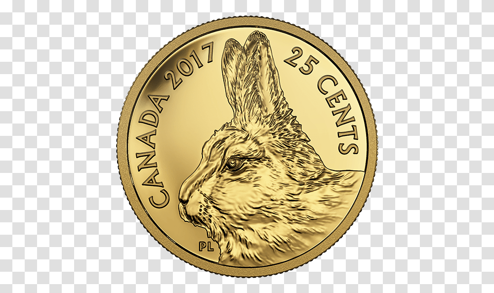 Predator Vs Prey Coin, Gold, Money, Bird, Animal Transparent Png