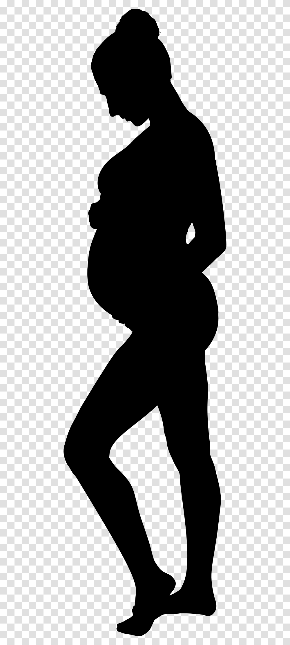 Pregnancy Silhouette Icons, Gray, World Of Warcraft Transparent Png