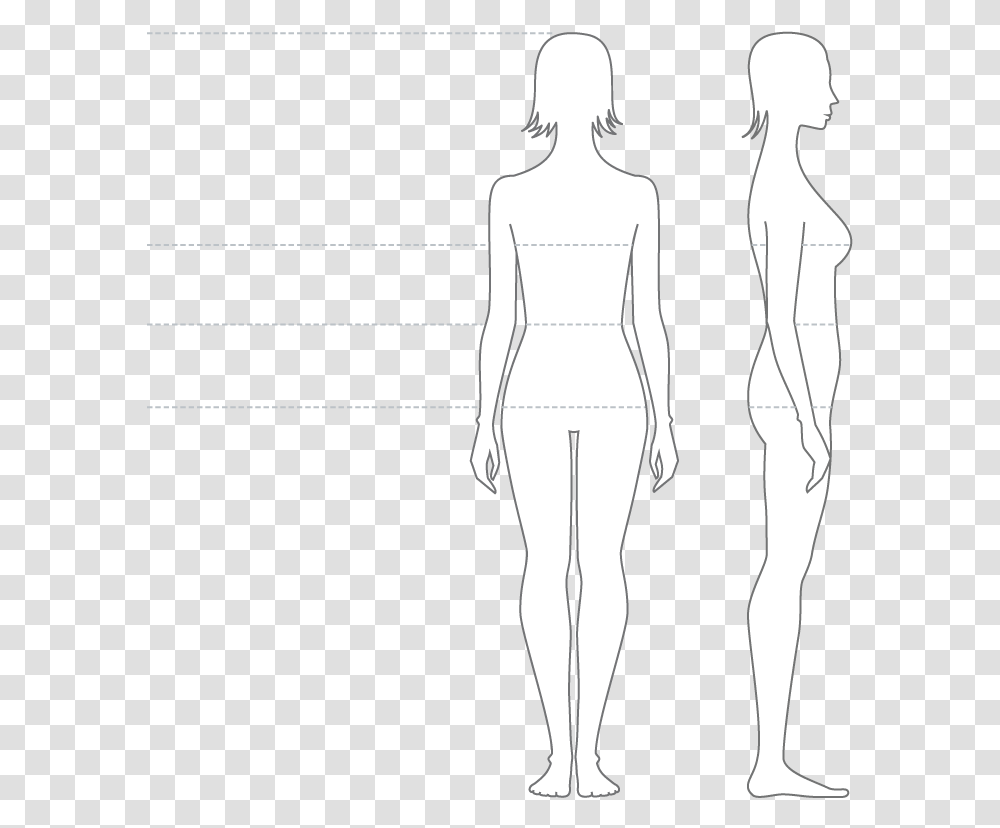 Pregnant Woman Front Silhouette, Person, Human, Plot, Diagram Transparent Png