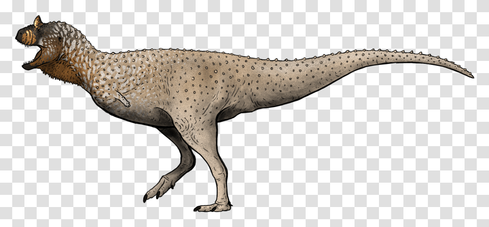 Prehistoric Kingdom Carnotaurus, Dinosaur, Reptile, Animal, T-Rex Transparent Png