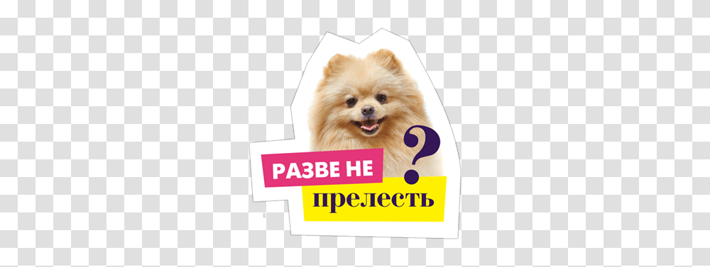 Prelest Razve, Advertisement, Poster, Paper, Dog Transparent Png