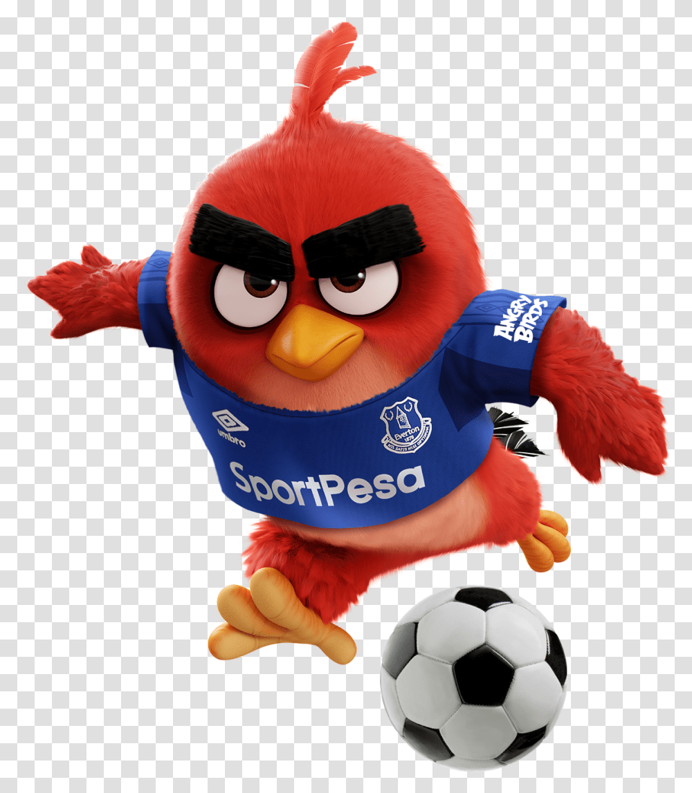 Premier League Angry Birds, Soccer Ball, Football, Team Sport, Person Transparent Png