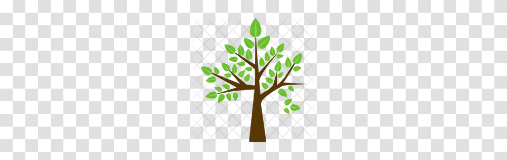 Premium Birch Tree Icon Download, Cross, Vegetation, Plant, Bush Transparent Png
