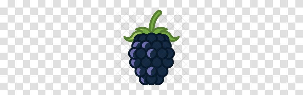 Premium Blackberry Icon Download, Plant, Raspberry, Fruit, Food Transparent Png