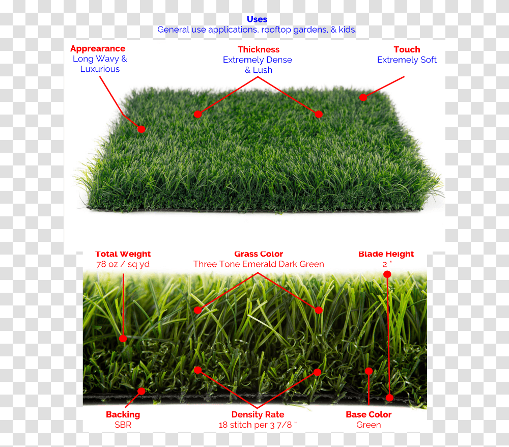 Premium Blade Grass Lush Synthetic Grass Lush Dark Green Grass, Plant, Lawn, Vegetation, Machine Transparent Png