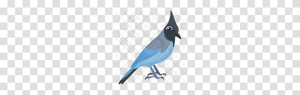 Premium Blue Jay Icon Download, Bird, Animal Transparent Png