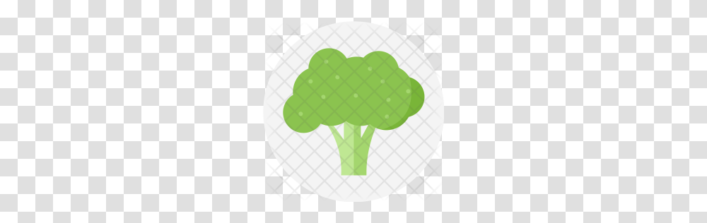 Premium Broccoli Green Plant Vegetable Cabbage Food Spinach, Rug, Produce, Cauliflower, Vegetation Transparent Png