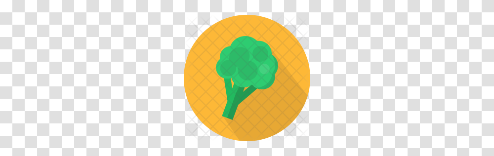 Premium Broccoli Icon Download, Plant, Vegetable, Food, Balloon Transparent Png