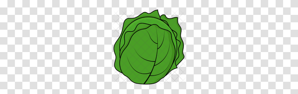 Premium Cabbage Icon Download, Plant, Head Cabbage, Produce, Vegetable Transparent Png