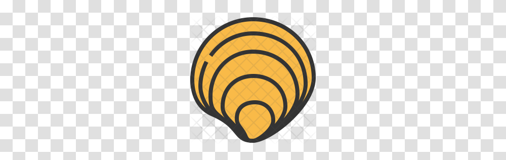 Premium Clam Icon Download, Lamp, Rug, Lampshade, Ceiling Light Transparent Png