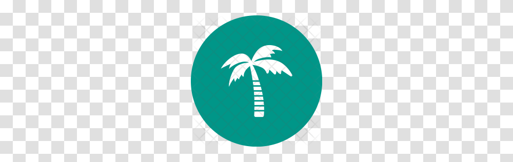 Premium Coconut Tree Icon Download, Balloon, Plant, Logo Transparent Png