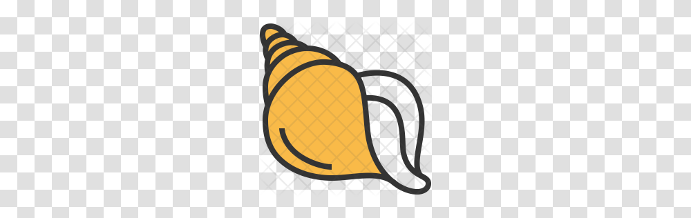 Premium Conch Icon Download, Rug, Produce, Food Transparent Png