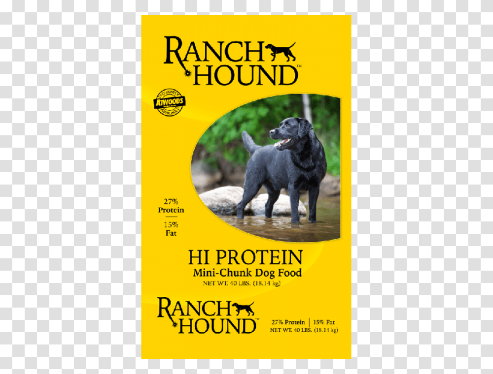 Premium Dry Dog Food, Poster, Advertisement, Flyer, Paper Transparent Png