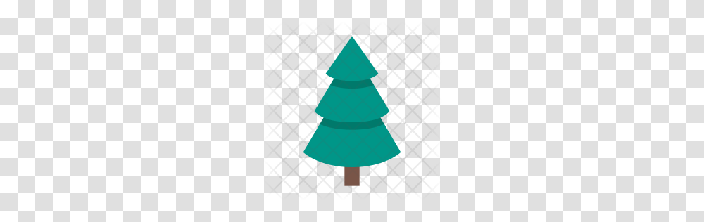 Premium Evergreen Icon Download, Tree, Plant, Ornament, Christmas Tree Transparent Png