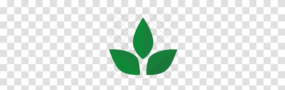 Premium Green Tea Icon Download, Leaf, Plant, Balloon, Arrowhead Transparent Png