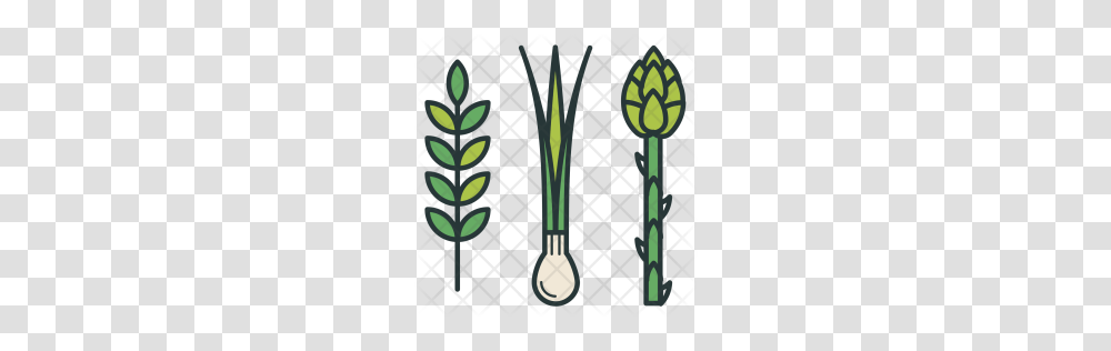 Premium Greens Asparagus Onion Agriculture Icon Download, Plant, Flower, Rug Transparent Png