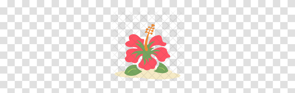 Premium Hibiscus Flower Icon Download, Plant, Blossom, Petal, Leaf Transparent Png