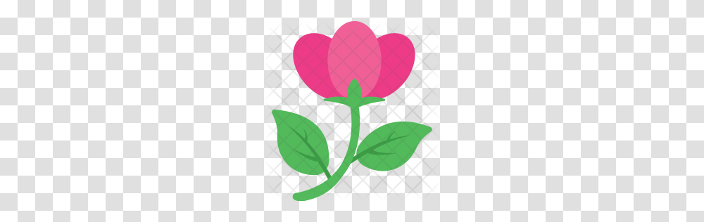 Premium Hibiscus Icon Download, Plant, Flower, Balloon, Petal Transparent Png