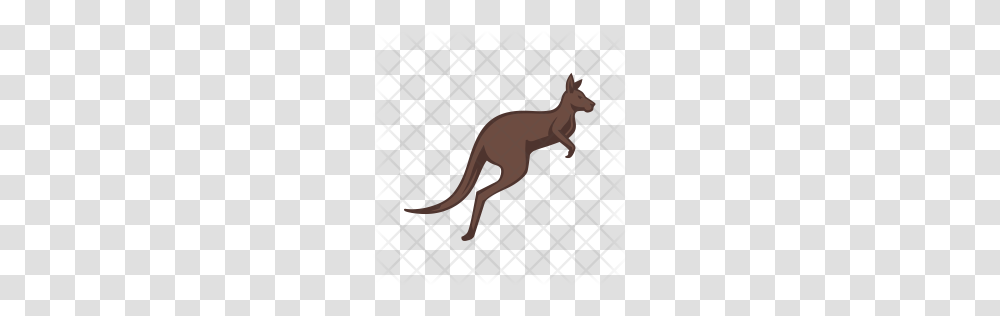 Premium Kangaroo Icon Download, Mammal, Animal, Wallaby, Antelope Transparent Png