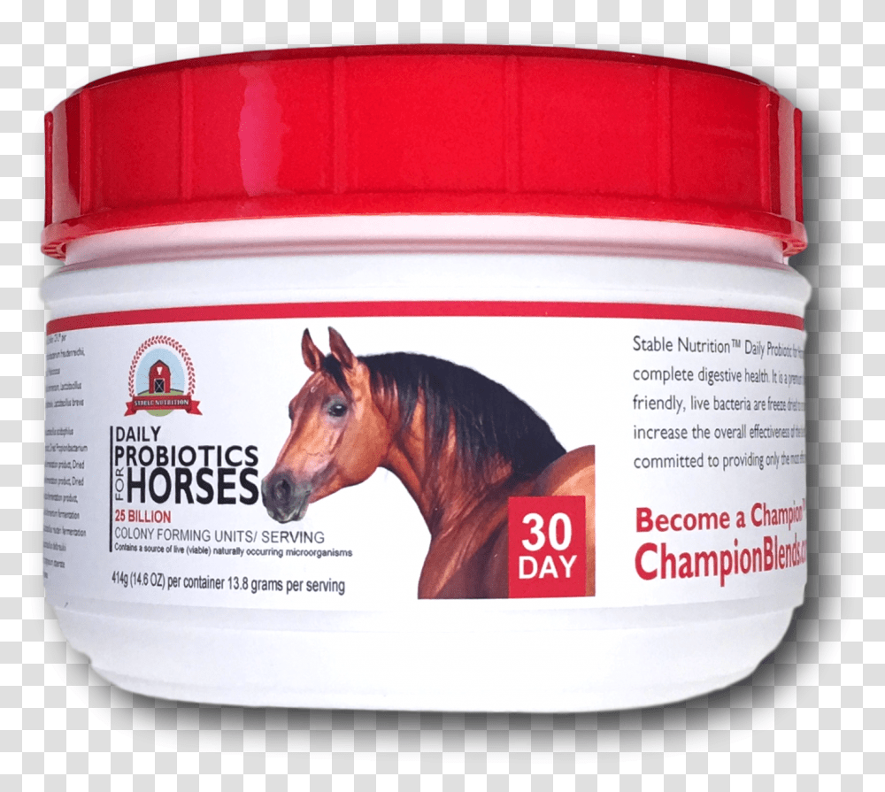 Premium Kynsa Chalk Markers 40 Free Chalkboard Labels Horse Probiotic, Mammal, Animal, Bottle, Cosmetics Transparent Png