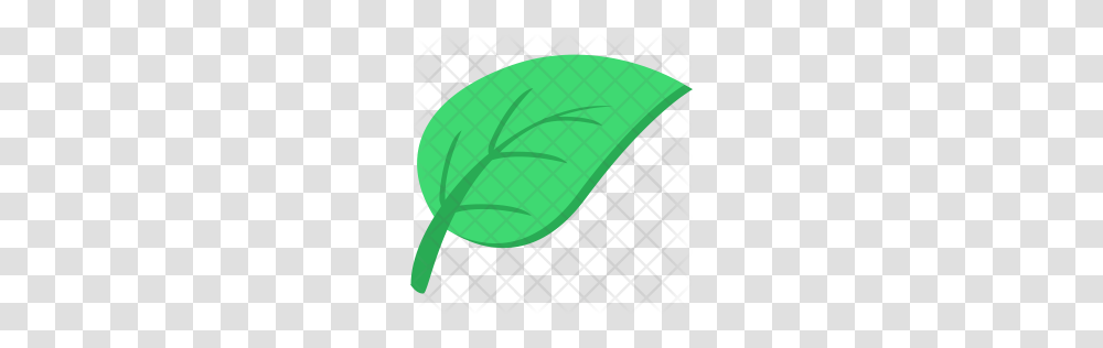 Premium Leaf Icon Download, Plant, Rug, Racket, Food Transparent Png