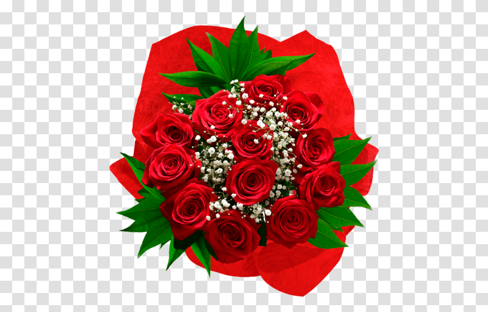 Premium Long Stem Red Rose Bouquet Floribunda, Plant, Flower, Blossom, Flower Bouquet Transparent Png
