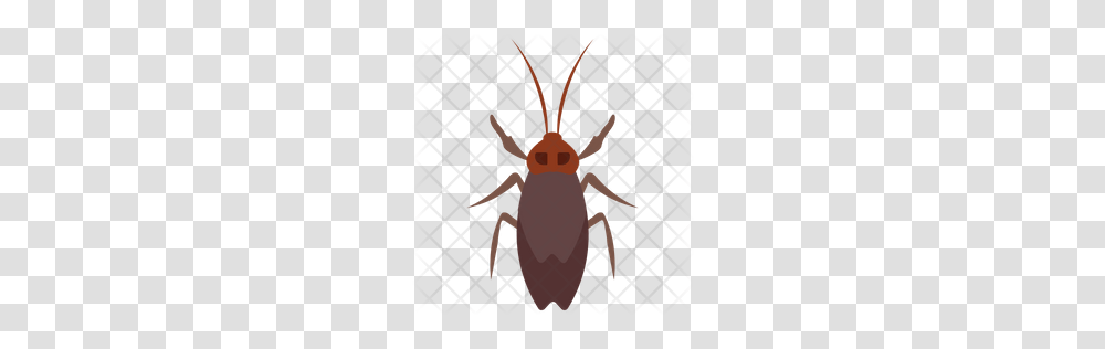 Premium Longhorn Beetle Icon Download In Svg Eps Ai Ico, Insect, Invertebrate, Animal, Cockroach Transparent Png