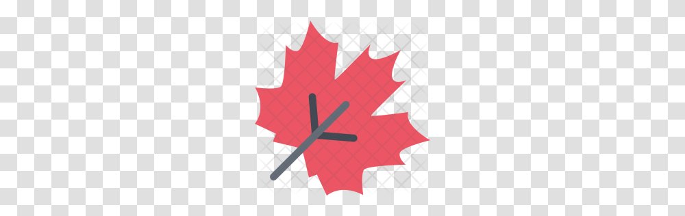 Premium Maple Icon Download, Leaf, Plant, Maple Leaf, Cross Transparent Png