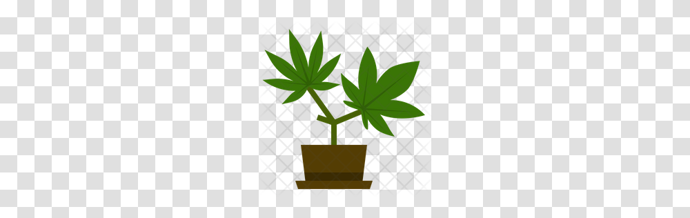 Premium Marijuana Leaves Icon Download, Leaf, Plant, Cross Transparent Png