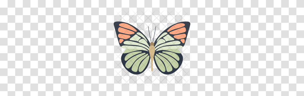 Premium Monarch Butterfly Icon Download, Rug, Animal, Insect Transparent Png