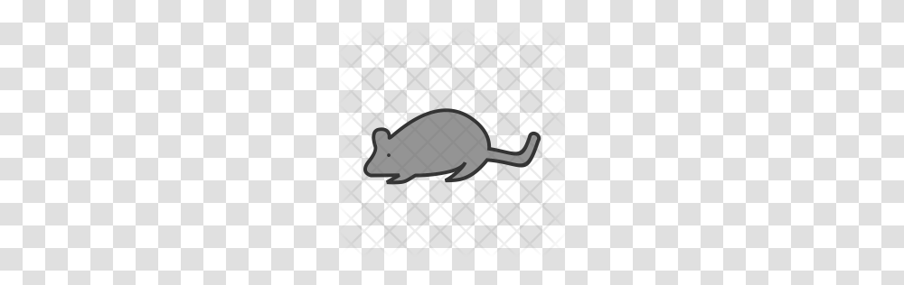 Premium Mouse Icon Download, Mammal, Animal, Rodent, Wildlife Transparent Png