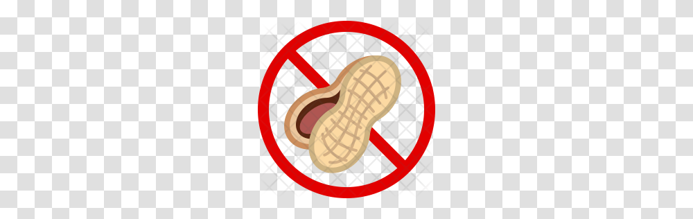 Premium Nut Icon Download Formats, Plant, Peanut, Vegetable, Food Transparent Png