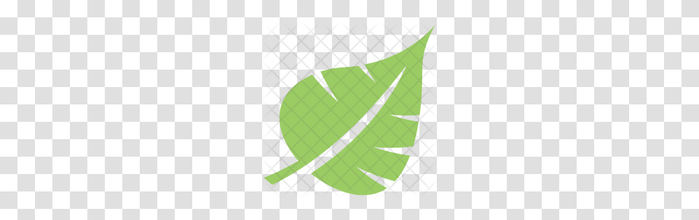 Premium Palm Leaf Icon Download, Bow, Plant, Plot, Diagram Transparent Png