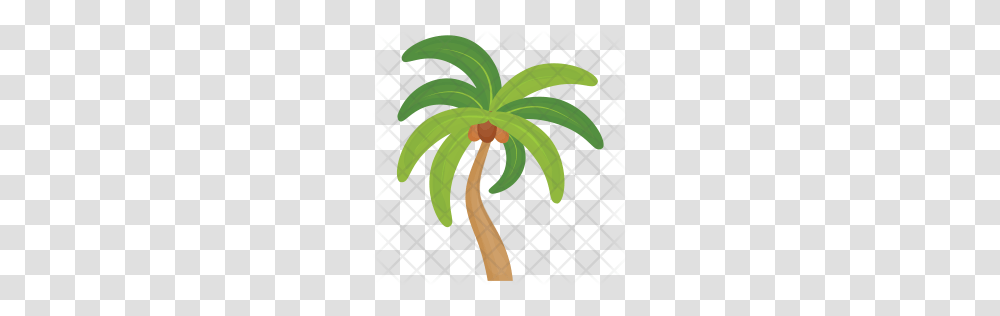 Premium Palm Tree Icon Download, Plant, Flower, Blossom, Sprout Transparent Png