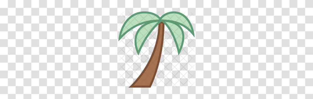 Premium Palm Tree Icon Download, Plant, Pattern, Flower, Ornament Transparent Png