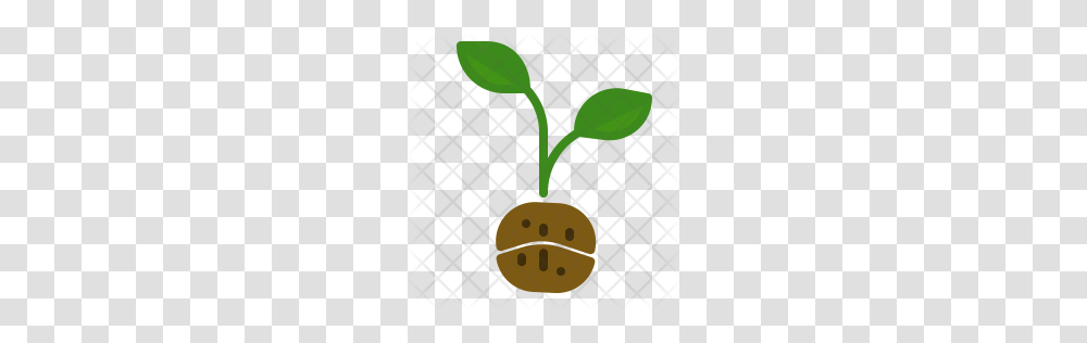 Premium Planting Coffee Icon Download, Sprout, Flower, Blossom, Bud Transparent Png