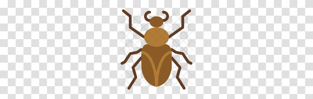 Premium Roach Icon Download, Animal, Invertebrate, Insect, Dung Beetle Transparent Png