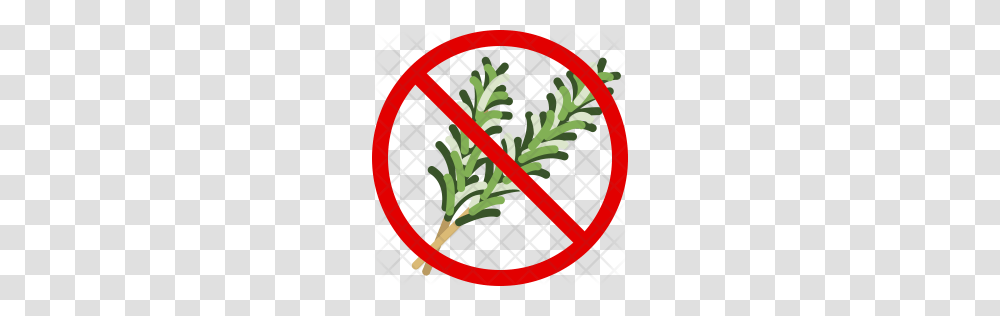Premium Rosemary Icon Download, Plant, Vegetation, Rug Transparent Png