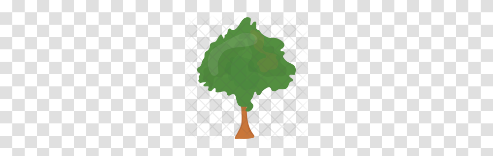Premium Round Shaped Tree Icon Download, Plant, Leaf, Vegetation, Green Transparent Png