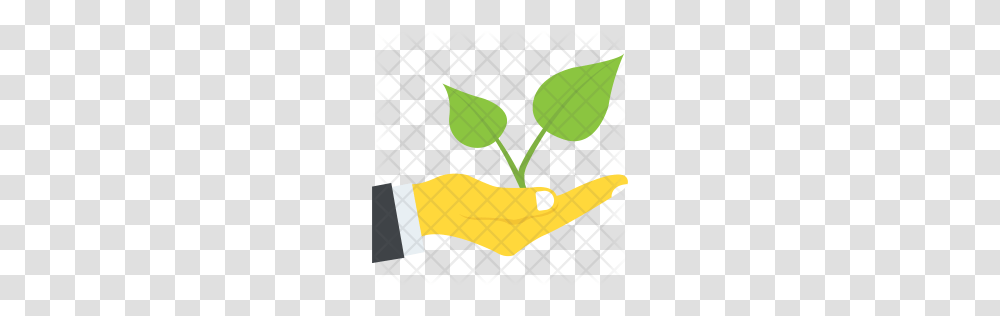 Premium Save Greenery Icon Download, Plant, Food, Rug, Fruit Transparent Png