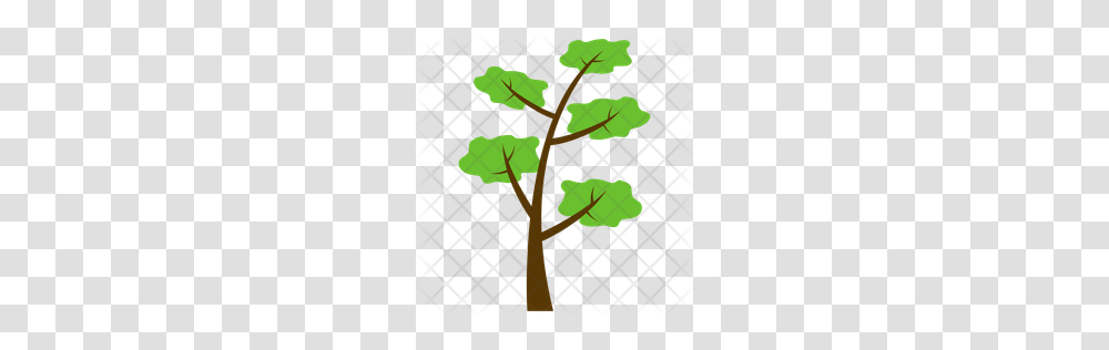 Premium Scots Pine Tree Icon Download, Cross, Plant, Leaf, Outdoors Transparent Png