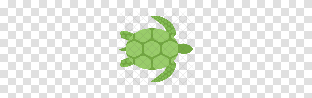 Premium Sea Turtle Icon Download, Reptile, Sea Life, Animal, Tortoise Transparent Png
