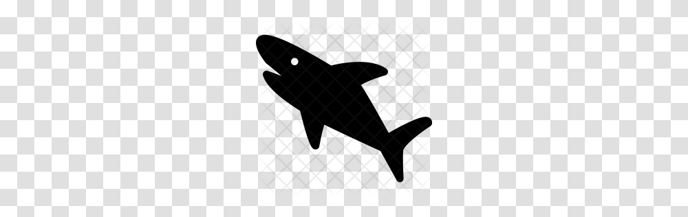 Premium Shark Icon Download, Pattern, Rug, Alphabet Transparent Png