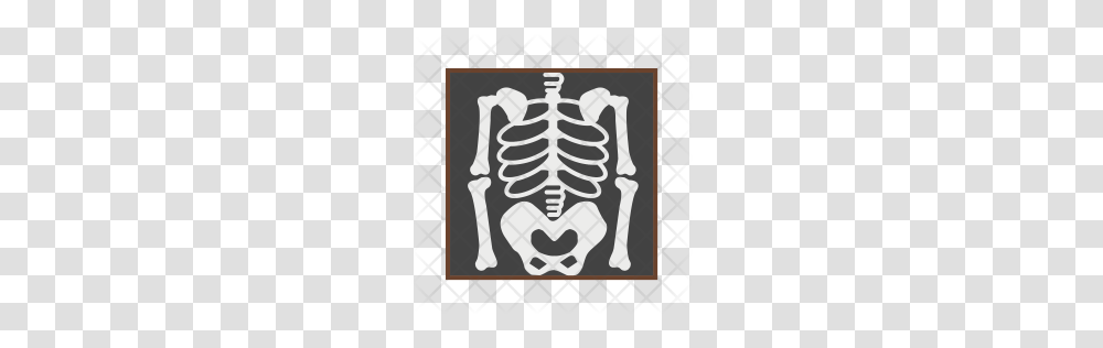 Premium Skeleton Icon Download, Rug, X-Ray, Medical Imaging X-Ray Film, Ct Scan Transparent Png