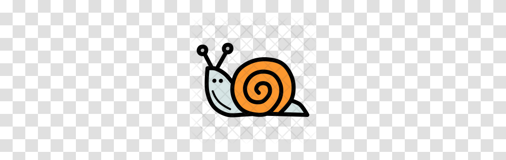 Premium Snail Icon Download, Spiral, Animal, Coil, Invertebrate Transparent Png
