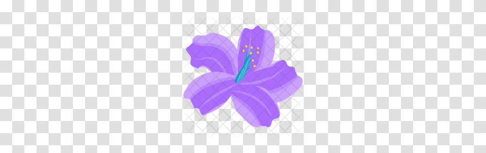 Premium Stargazer Lily Icon Download, Purple, Plant, Flower, Blossom Transparent Png