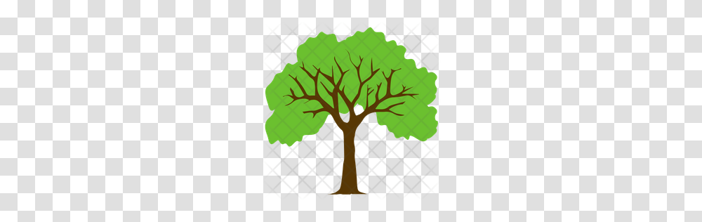 Premium Sycamore Tree Icon Download, Leaf, Plant, Tree Trunk, Cross Transparent Png