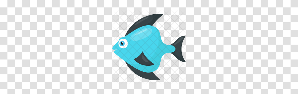 Premium Teardrop Icon Download, Animal, Sea Life, Fish, Shark Transparent Png