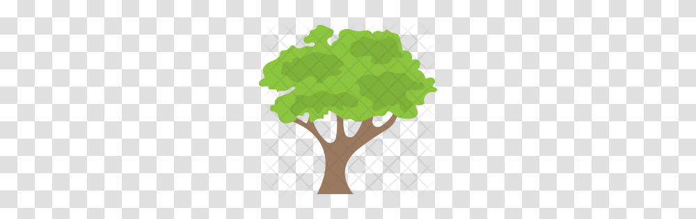 Premium Tree Icon Download, Vegetation, Plant, Rug, Plot Transparent Png