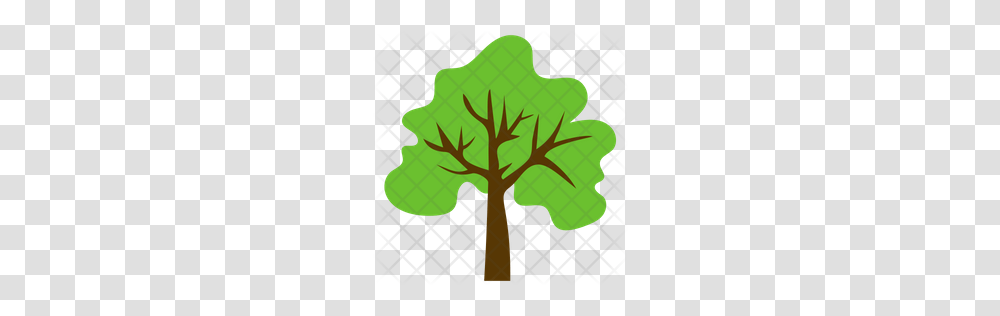 Premium Trees Flat Icons Icon Pack Download, Leaf, Plant, Cross Transparent Png